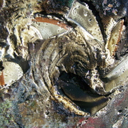 100_8377_card