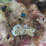 100_8264_card
