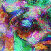 211_card