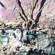 100_8271_card