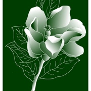 Magnolia_1-f_verde-fin-2-list_etsy_card