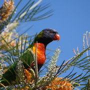 Img_8961_card