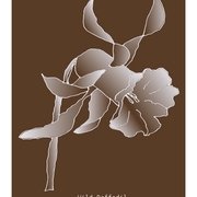 Narcisus_grande-2--fin--etsy_list_card