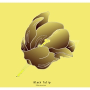 Tulipan_negro_2-fon_amari-list_etsy-2_card