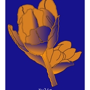Tulipan-2--b--fin--etsy_list_card