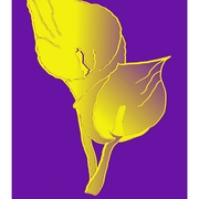Cala_lineal_relleno_etsy_lis-fin_card