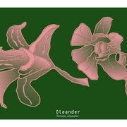Oleander--2--fin--etsy_list_card