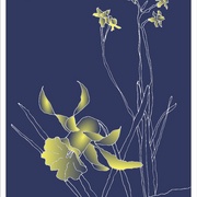 Narcisus_fin2--ebay_etsy_list_card