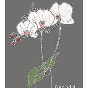 Flor_plantera-orchid-fin--etsy_list_card