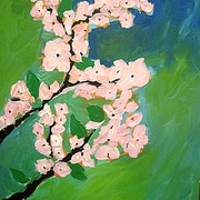 Picture_1176_card