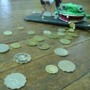 Dsc03960_card