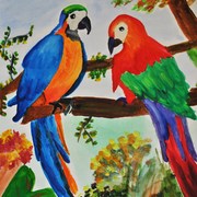 Dsc_0007_card