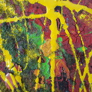 Dsc01520_card