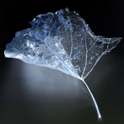 Naturesbeauty_card
