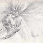 Orchideenbl_te_card