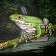White-lipped-frog_card