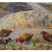 Mornig_search_of_food_card