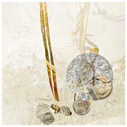 Objects_in_motion_card