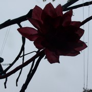 100_8510_card