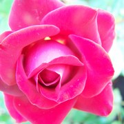 100_8706_card