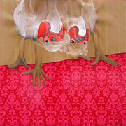 Tiwby_internet_card