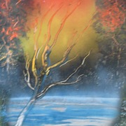 Img_2900_card