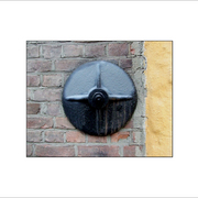 Dscf5355_copy_card