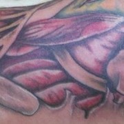 Kuaz_foot_2_card