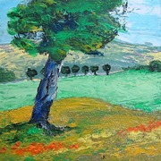 Arbres_devant_une_collline_card