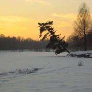 Image00001_card