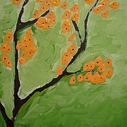 Picture_1181_card