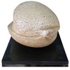 2-b__title-sheed__lenth-45cm