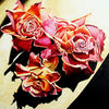 Dry_rosas_thumb