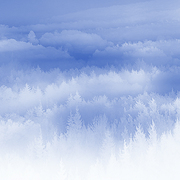 Far_horizons_card