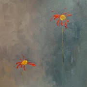Red_daisys_card