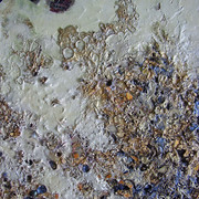 Kép_810_card