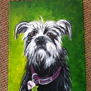 Photo_1__card