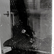 Picture_286_card