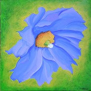 Azzurweb_card