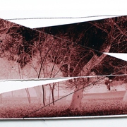 _mg_5325_card