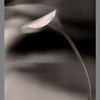 Cala_b_n_4_ph_se_fr_thumb