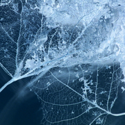 Blueabstract_card