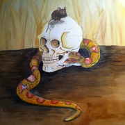 Img_0371_card