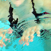 P1010200_copy_thumb