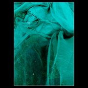 Dscf5638_copy_card