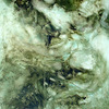 Oilevenescence72_thumb