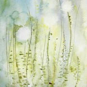 100_1908_card
