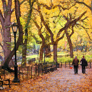 Central_park_de_manha_2canvas_adjust2ebay_web_card