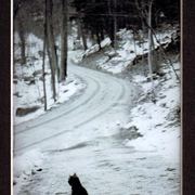 Long_journey_ahead_card