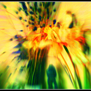 ______3752-2_card